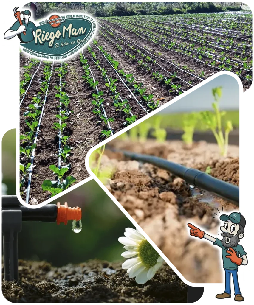RiegoMan - Rieg Agrícola por Goteo