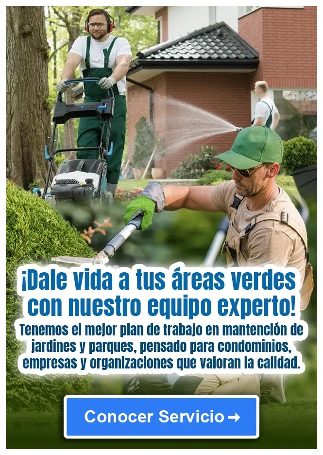 Ir a Conocer Servicio